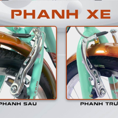 Xe đạp TEKKO C200S 26 inch, Khung thép cao cấp (Phù hợp với người cao từ 1m45 trở lên)