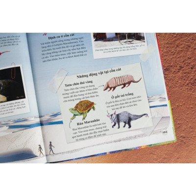 Sách - Amazing - Bách Khoa Tri Thức Về Những Điều Phi Thường Nhất - Combo 2 Cuốn - Đinh Tị Books