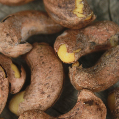 Combo Hạt Điều Rang Muối Vỏ Lụa Hải Long (250g /Hũ) + Hạt Điều Nghệ Mật Ong Hải Long (250g)